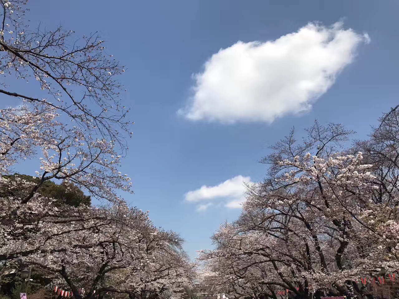 亚洲精品久久久久AV无码