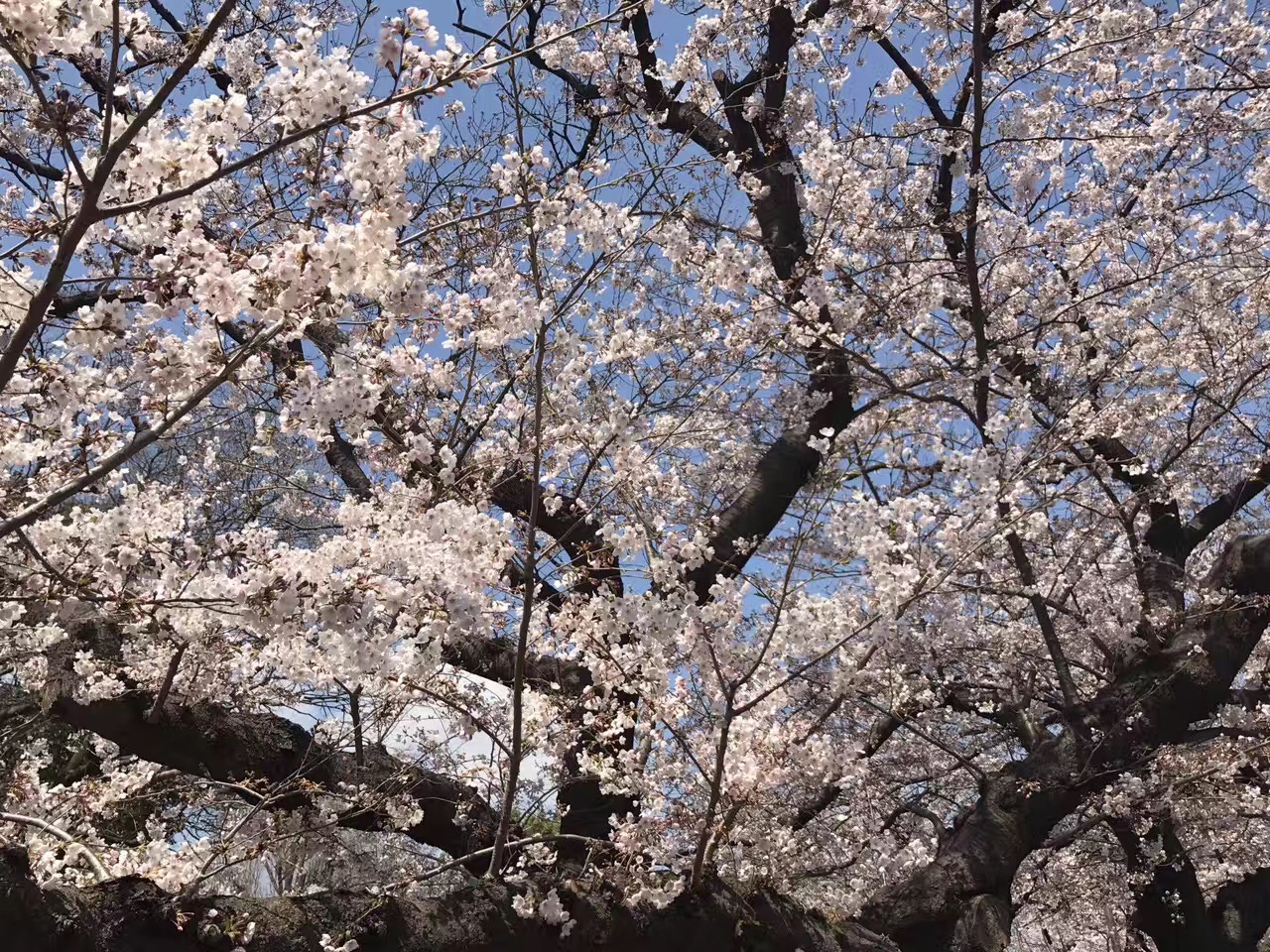 亚洲精品久久久久AV无码