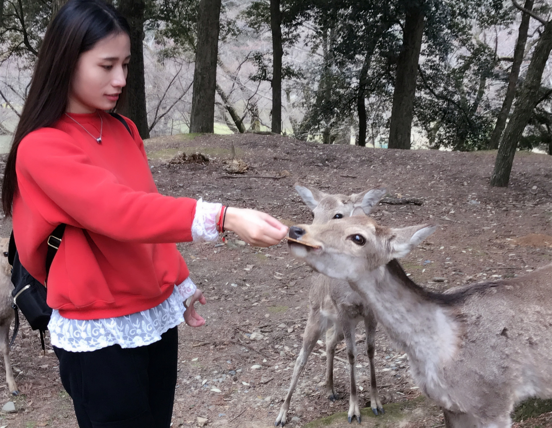 亚洲精品久久久久AV无码