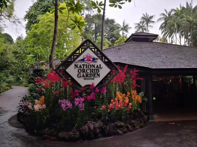 亚洲精品久久久久AV无码